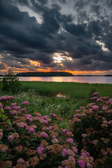 Dramatic dark sky sunset over the lake with flowers in foreground