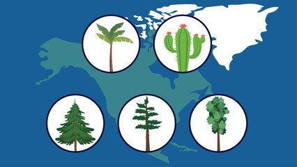World map with cactus and pine tree icon set. Vector illustration