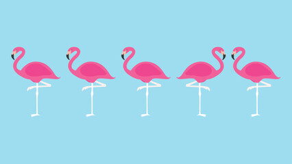 Flamingo in a row on a blue background. Vector illustration
