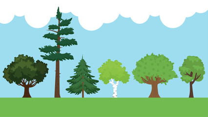 Pine trees in the forest. Vector illustration in flat style.
