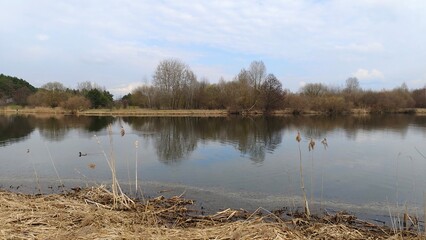 In early spring, during the high water, the water in the river is high and muddy. The fast current...