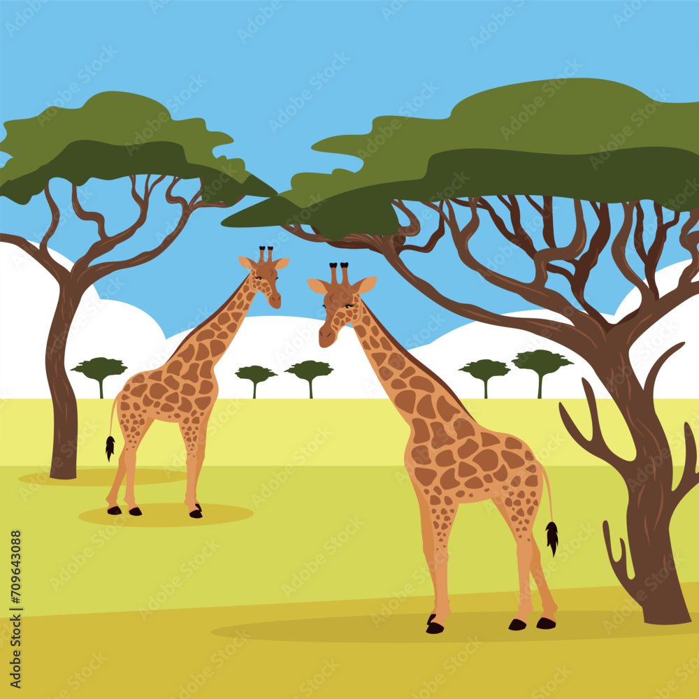 Wall mural giraffe in savanna. vector illustration in flat style.