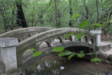 Fototapeta na wymiar old bridge in the park