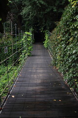 Obraz premium a suspension bridge