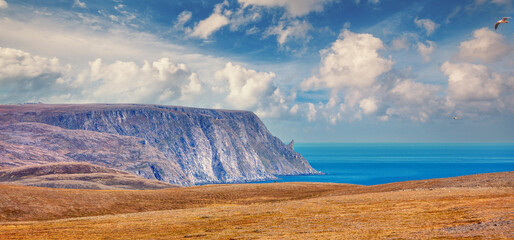 Rocky Barents sea coast. Beautiful landscape, wilderness. North Cape. Nordkapp, Norway