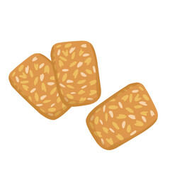 tempeh indonesian food