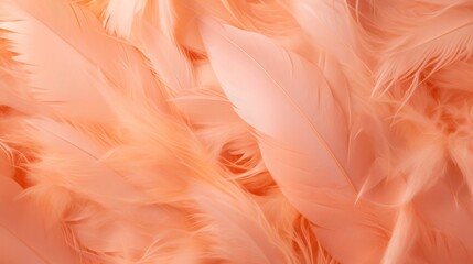 Feathers in a peach fuzz color as a background. Top view.