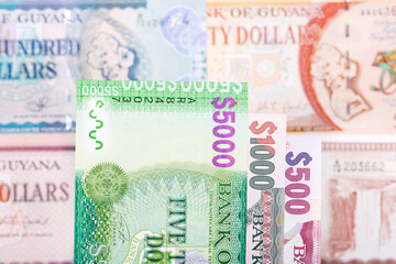 Guyanese dollar a business background