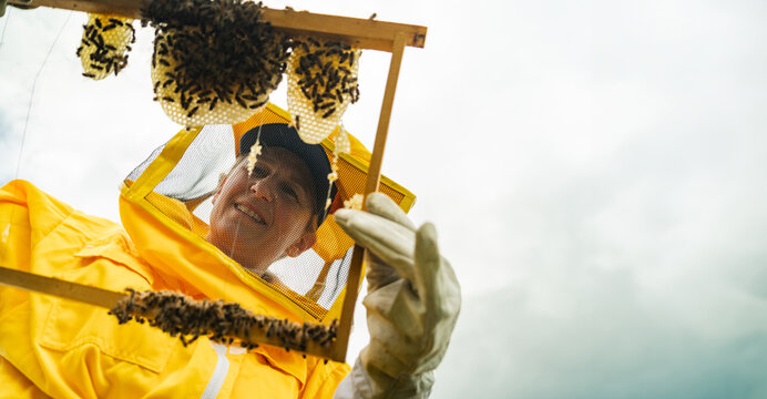 Cheerful beekeeper checking beehive