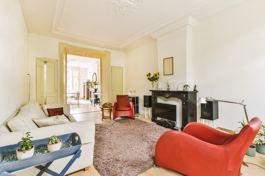Elegant living room interior with classic details