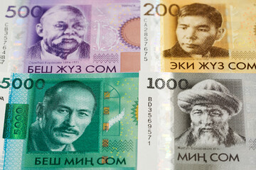 Kyrgyz som a business background