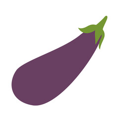 illustration of a eggplant