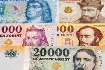Hungarian forint a business background