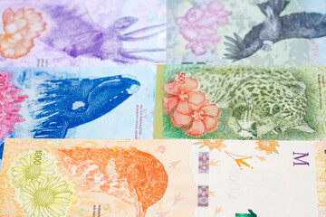 Argentine peso a business background