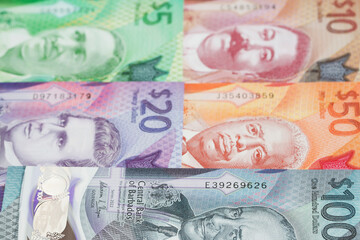 Barbadian dollar a business background