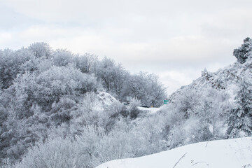 Winter snowfall in Collada De Bracons and Puigsacalm peak, La Garrotxa, Girona, Spain