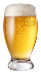 Glass of chilled light beer with large head of foam isolated on white background. Clipping path.