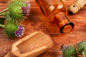 Medicinal plant burdock