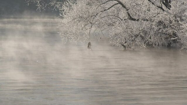 View of the misty river on a snowy foggy day