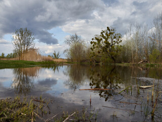 Spring on the river, nature comes to life, the grass is already green, the leaves on the trees are...