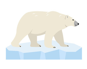 white Polar bear on ice floe. Wild polar Bear animal of the Arctic and the Arctic Circle isolated on white background. Vector icon illustration.