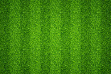 Background football field with striped green grass - obrazy, fototapety, plakaty