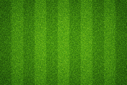 Background football field with striped green grass