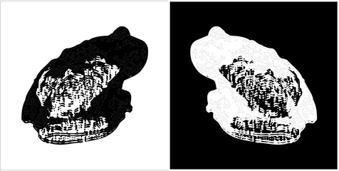 Illustration vector graphics of frog icon