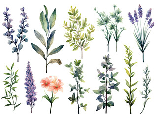 Fototapeta na wymiar Assorted Flowers on White Background, A Colorful Array of Blooms
