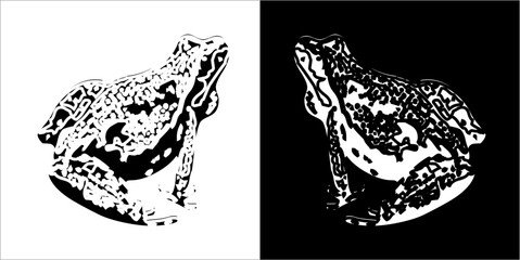 Illustration vector graphics of frog icon