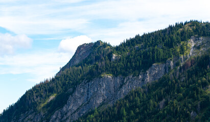 Obraz premium mountain view forest landscape Poland Zakopane