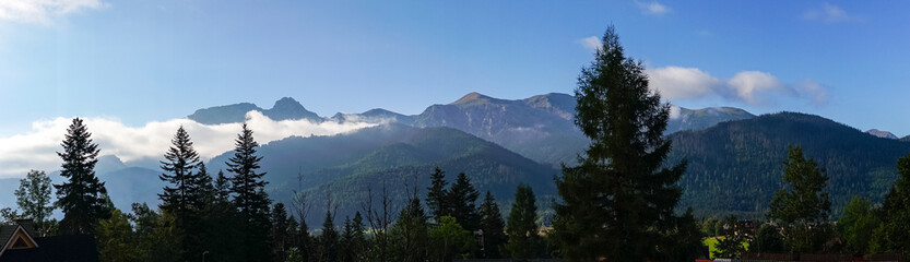 mountain view forest landscape Poland Zakopane © Андрей Трубицын