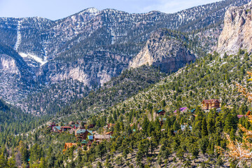 Mt. Charleston Near Las Vegas in Winter - Close-Up 4K Ultra HD Image