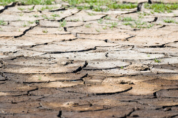 Klimawandel