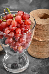 Bunches of fresh ripe dark grapes on a concrete textural surface. Red wine grapes. Still life of food. Nature. Autumn harvest. Vegetarian nutrition. Winery.