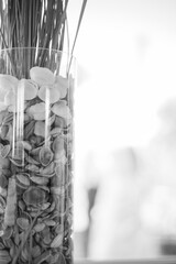 This black and white photograph showcases a translucent vase filled with seashells and dry grasses. The focus is on the layers of shells within the vase, displaying their various sizes and shapes. The