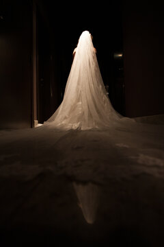 This dramatic image captures the silhouette of a bride from behind, draped in an elegant, long veil that cascades down towards the floor. The lighting is moody and dim, with a subtle illumination that