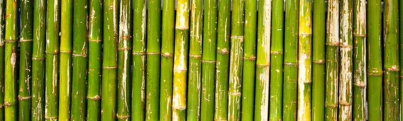 Gordijnen Green bamboo wall or fence background © Bowonpat