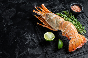 Boiled Spiny lobster or sea crayfish ready for eat. Black background. Top view. Copy space