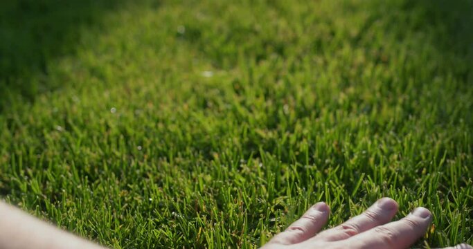 Hand strokes evenly cut grass on the lawn