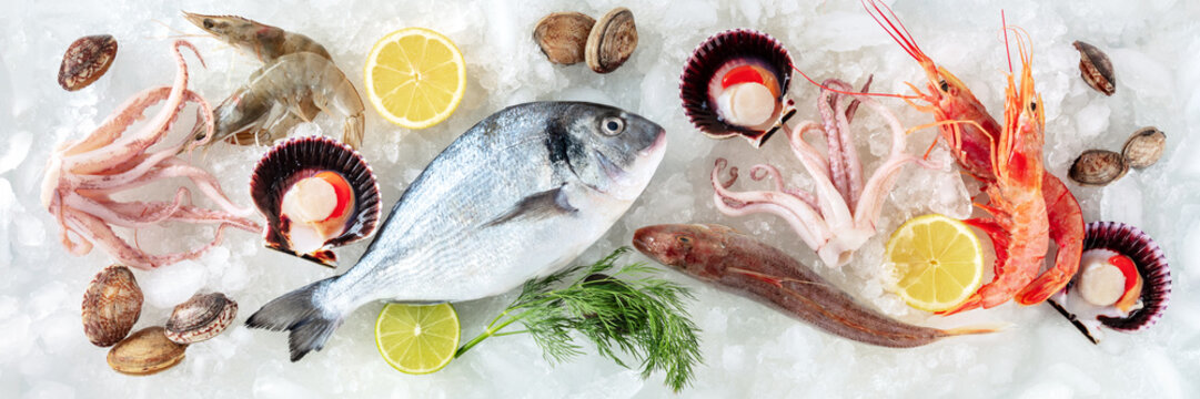 Seafood panorama. Fresh fish and sea food on ice, overhead flat lay panoramic banner. A market or a restaurant menu. Shellfish, scallop, and lime