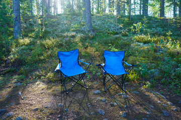 empty blue folding garden chairs on the wild pine forest on a sunny day.