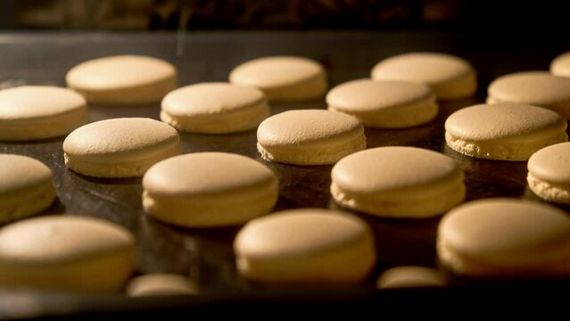 Macaroons. Baking macaroons in electric oven. Process of cooking macarons. Homemade macaroon cookies in oven. Timelapse of growing macarons. Baking concept. Close-up in 4K, UHD