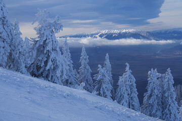 winter landscape with snow, Postavaru Mountains, Romania