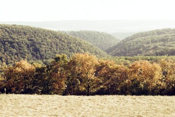 landscape around Karlstejn 2. October 2023 on analogue photography - blurriness and noise of...