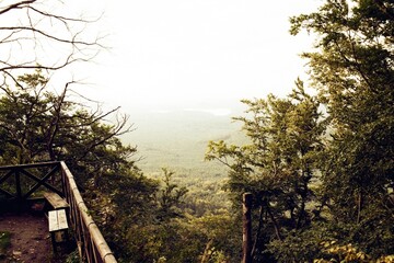 landscape from Bezdez castle 13. October 2023 on analogue photography - blurriness and noise of...