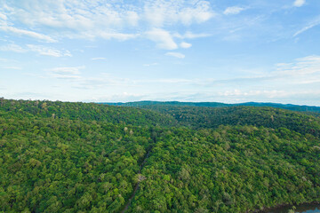 Beautiful aerial view of green mangroves or tropical forest in Thailand.