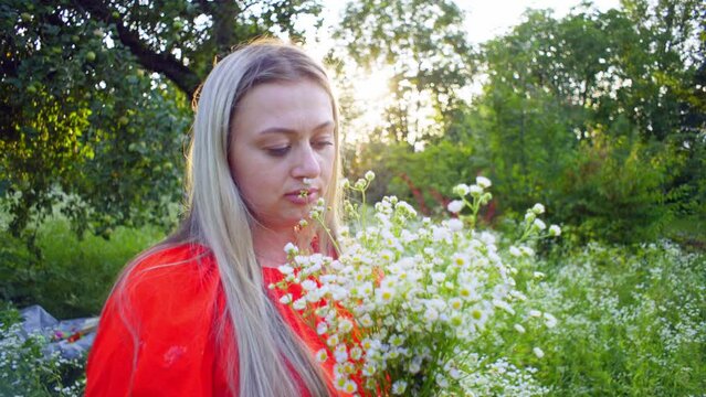 A woman in a romantic mood enjoys the aroma of field daisies. The sun's rays envelop her with warmth in the middle of a beautiful landscape. High quality 4k footage