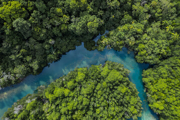 Naklejka na ściany i meble Beautiful aerial view of green mangroves or tropical forest in Thailand.