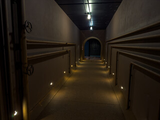 The Corridor of Shadows: A Pathway Illuminated